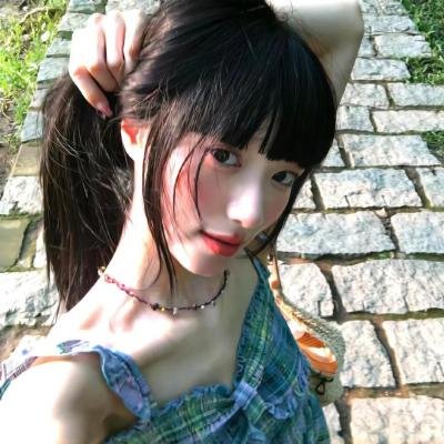 象宫龙虎斗